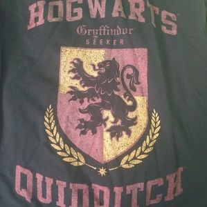 Harry Potter Gryffindor Seeker Jacket